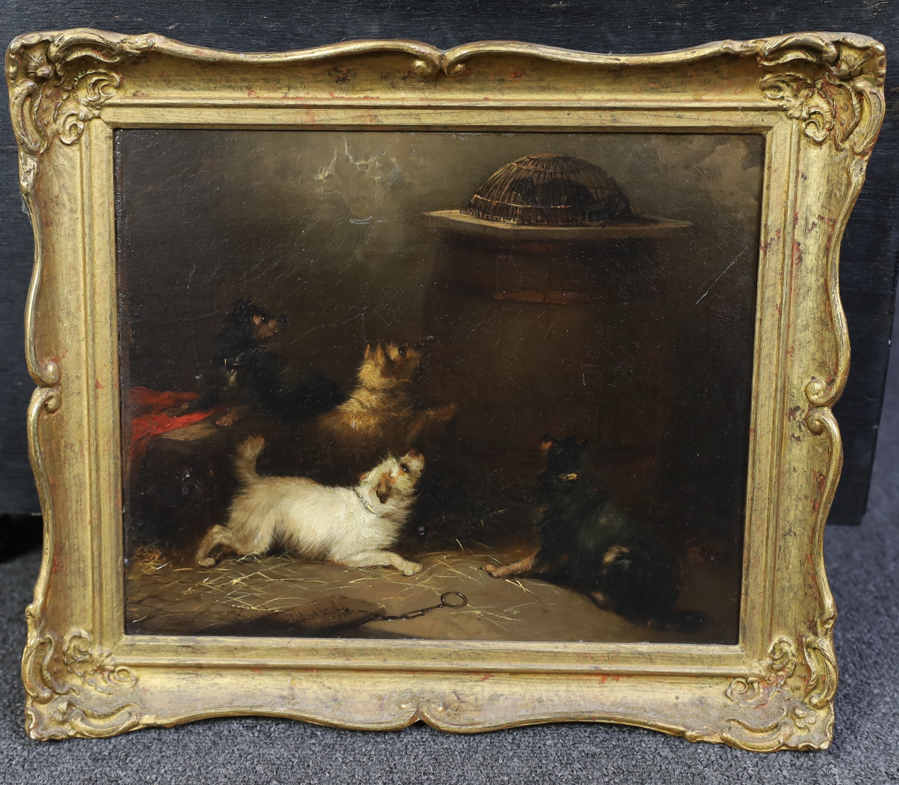 George Armfield (British, 1810-1893), Terriers in a barn surrounding a trapped rat, oil on canvas, 25 x 30cm